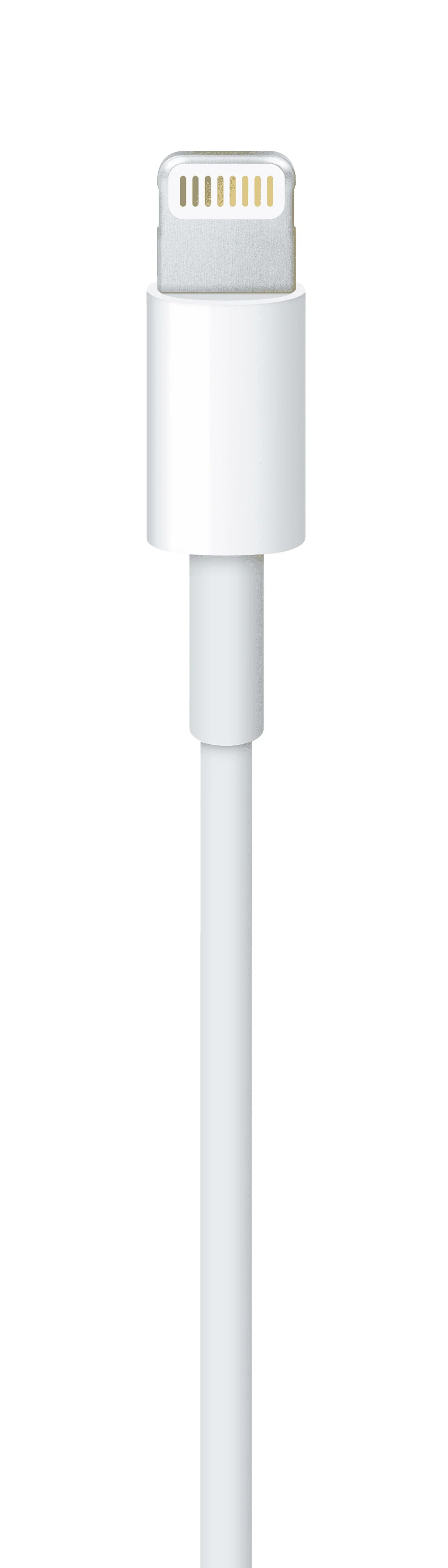 Cable Apple Lightning a USB-A (1 m) - Image 3