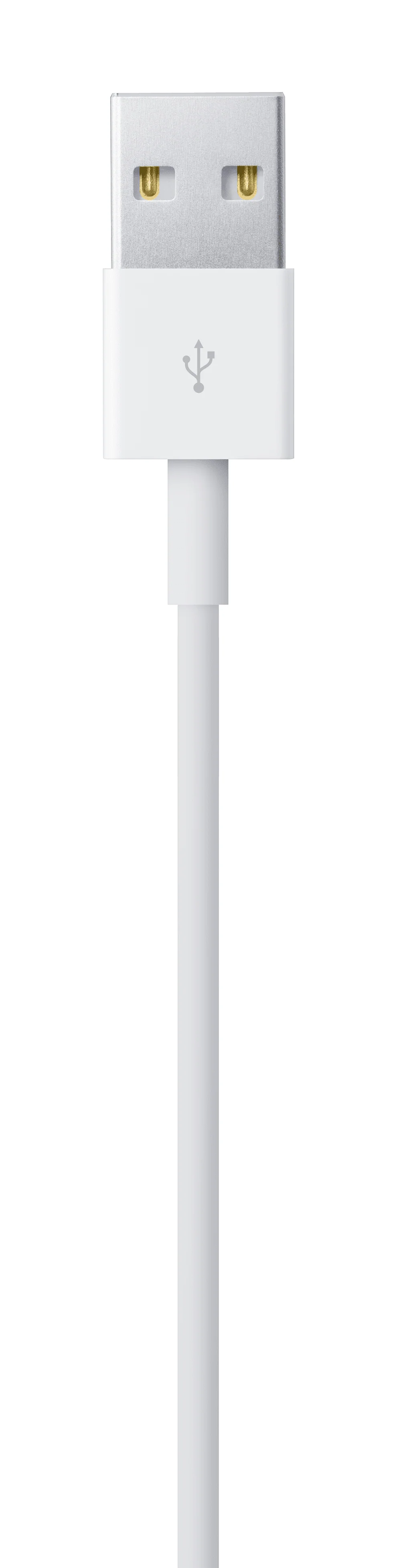 Cable Apple Lightning a USB-A (1 m) - Image 4